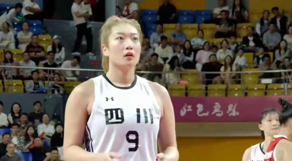 新老阶梯的 新老阶梯的